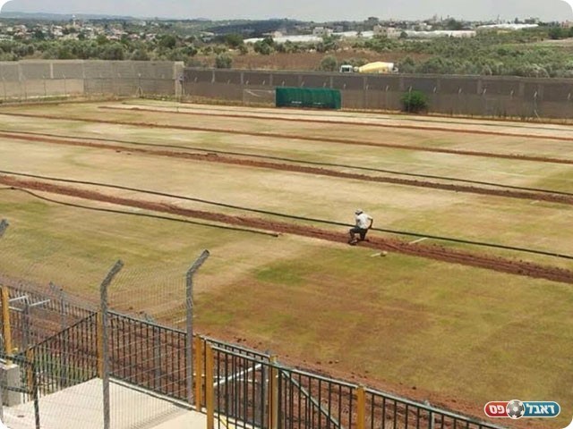 שידרוג כר הדשא (אחמד עויסאת)